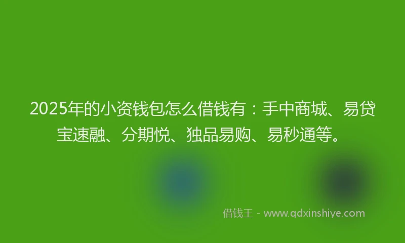 2025年的小资钱包怎么借钱有：手中商城、易贷宝速融、分期悦、独品易购、易秒通等。