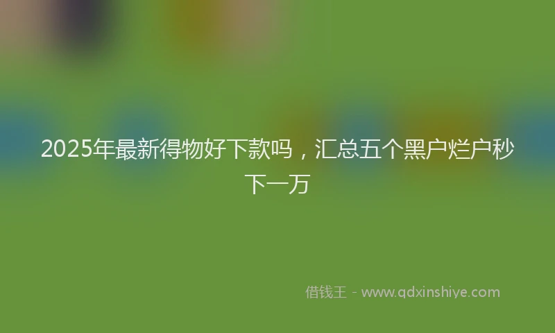 2025年最新得物好下款吗，汇总五个黑户烂户秒下一万