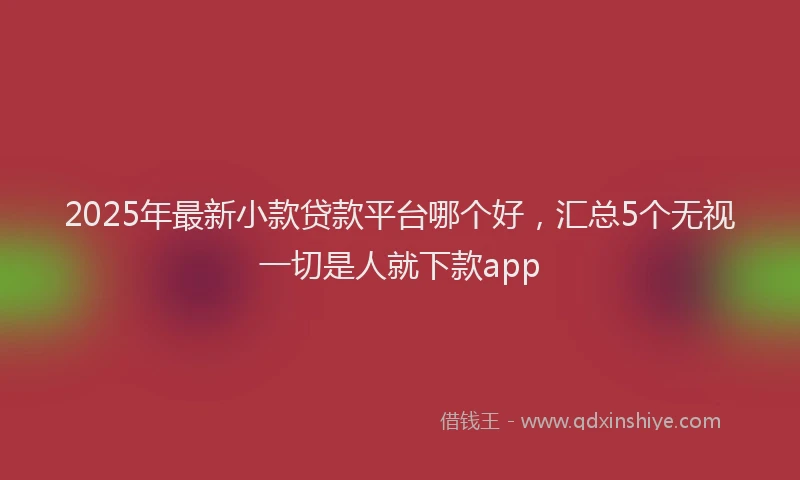 2025年最新小款贷款平台哪个好，汇总5个无视一切是人就下款app