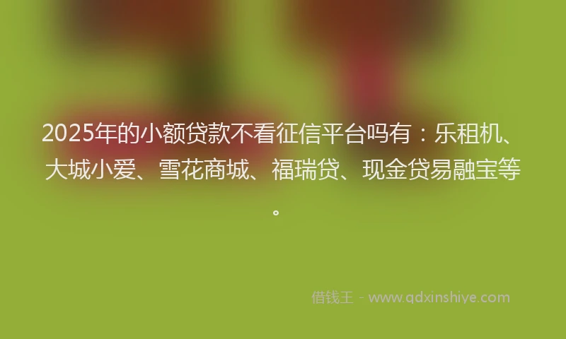 2025年的小额贷款不看征信平台吗有：乐租机、大城小爱、雪花商城、福瑞贷、现金贷易融宝等。