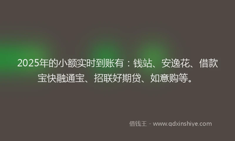 2025年的小额实时到账有：钱站、安逸花、借款宝快融通宝、招联好期贷、如意购等。