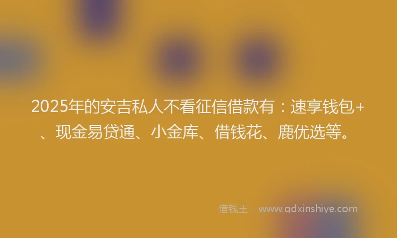 2025年的安吉私人不看征信借款有：速享钱包+、现金易贷通、小金库、借钱花、鹿优选等。