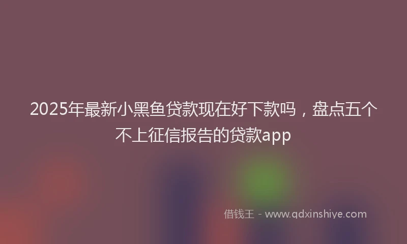 2025年最新小黑鱼贷款现在好下款吗，盘点五个不上征信报告的贷款app
