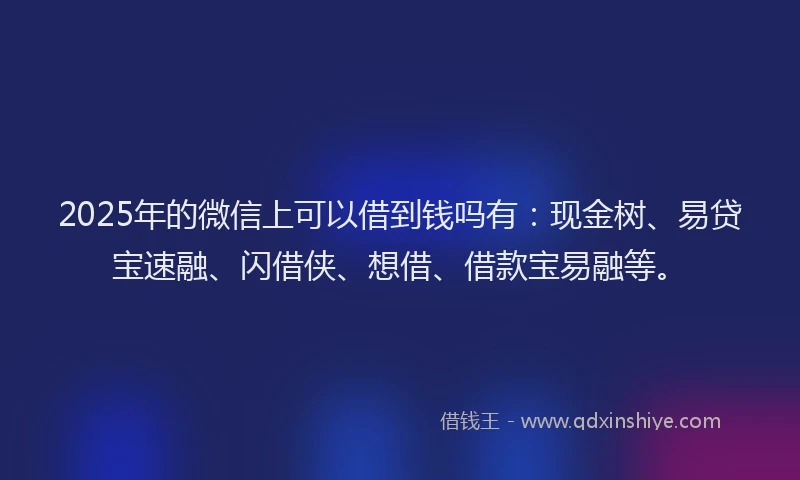 2025年的微信上可以借到钱吗有：现金树、易贷宝速融、闪借侠、想借、借款宝易融等。