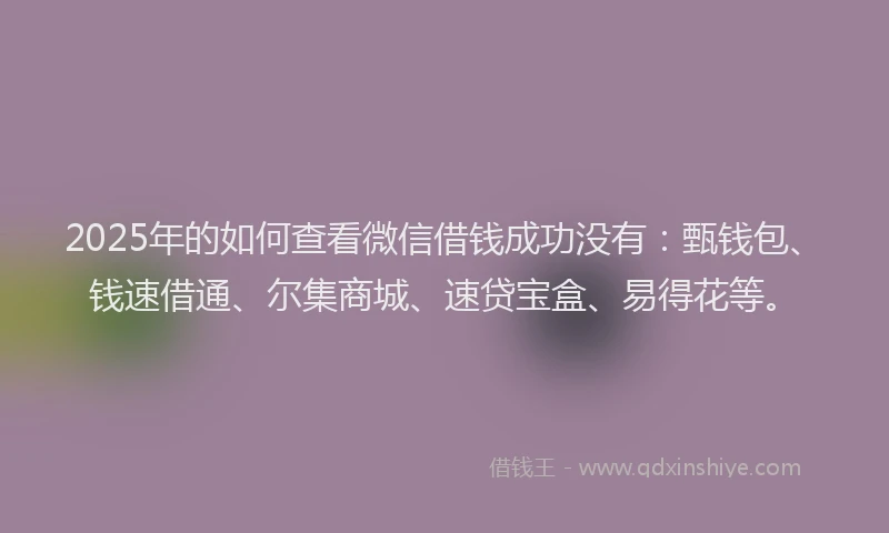 2025年的如何查看微信借钱成功没有：甄钱包、钱速借通、尔集商城、速贷宝盒、易得花等。