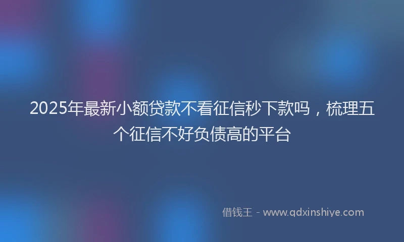 2025年最新小额贷款不看征信秒下款吗，梳理五个征信不好负债高的平台