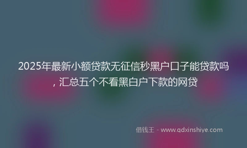 2025年最新小额贷款无征信秒黑户口子能贷款吗，汇总五个不看黑白户下款的网贷