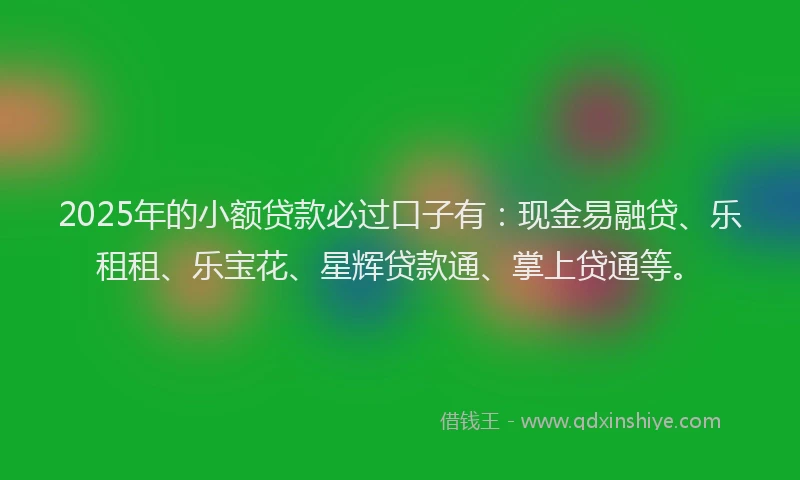 2025年的小额贷款必过口子有：现金易融贷、乐租租、乐宝花、星辉贷款通、掌上贷通等。