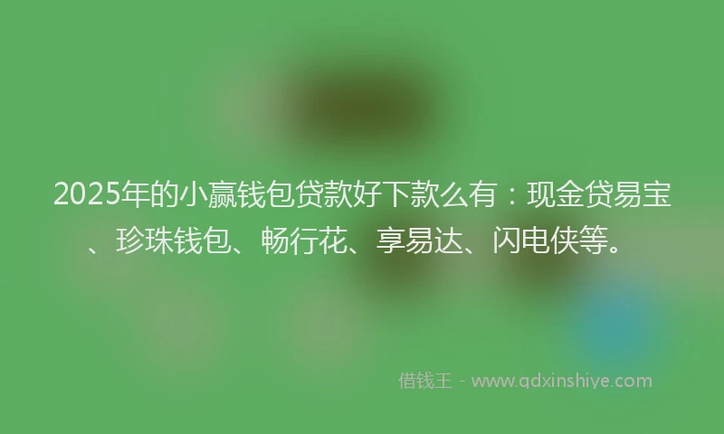 2025年的小赢钱包贷款好下款么有：现金贷易宝、珍珠钱包、畅行花、享易达、闪电侠等。