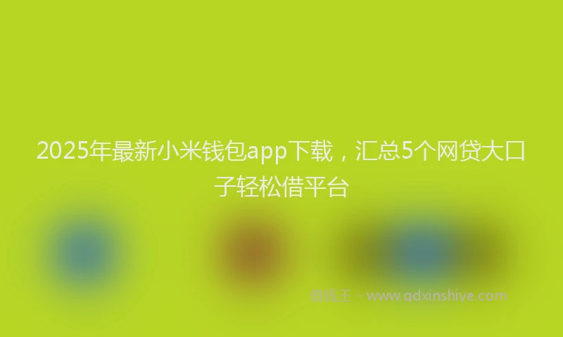 2025年最新小米钱包app下载，汇总5个网贷大口子轻松借平台