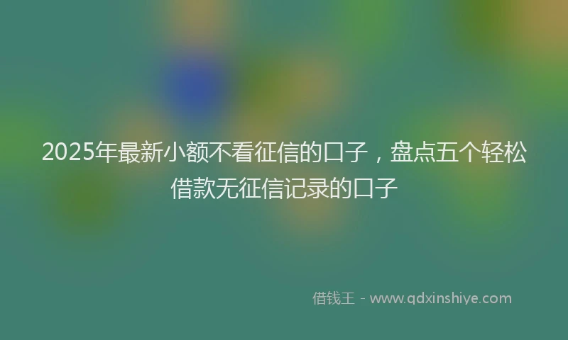 2025年最新小额不看征信的口子，盘点五个轻松借款无征信记录的口子