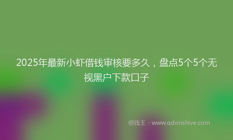 2025年最新小虾借钱审核要多久，盘点5个5个无视黑户下款口子