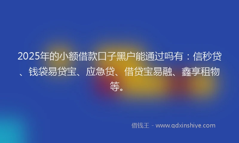 2025年的小额借款口子黑户能通过吗有：信秒贷、钱袋易贷宝、应急贷、借贷宝易融、鑫享租物等。