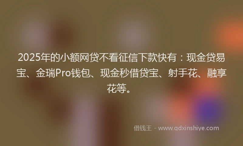 2025年的小额网贷不看征信下款快有：现金贷易宝、金瑞Pro钱包、现金秒借贷宝、射手花、融享花等。