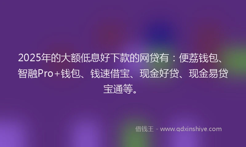 2025年的大额低息好下款的网贷有：便荔钱包、智融Pro+钱包、钱速借宝、现金好贷、现金易贷宝通等。