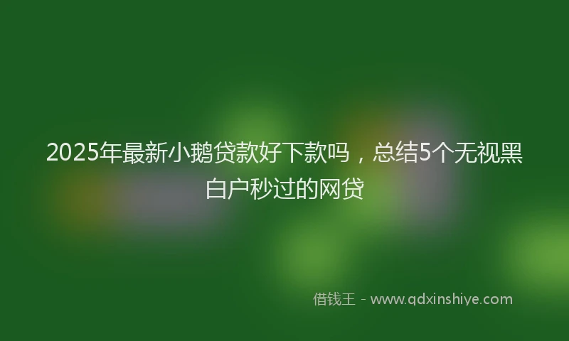 2025年最新小鹅贷款好下款吗，总结5个无视黑白户秒过的网贷