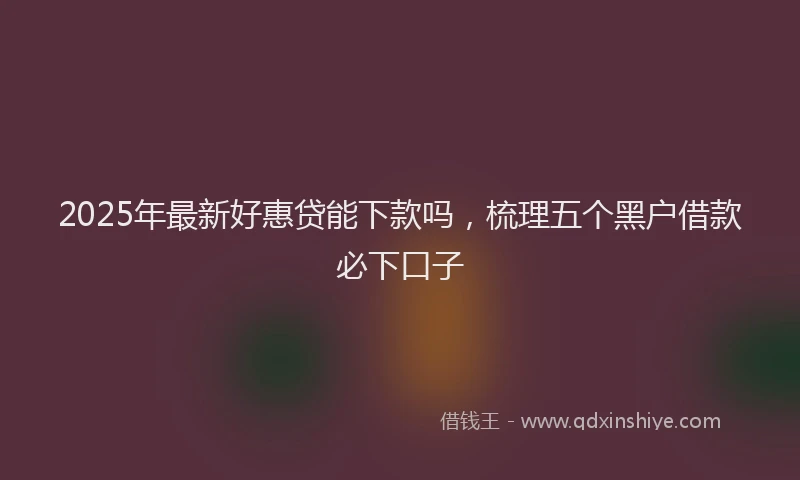 2025年最新好惠贷能下款吗，梳理五个黑户借款必下口子