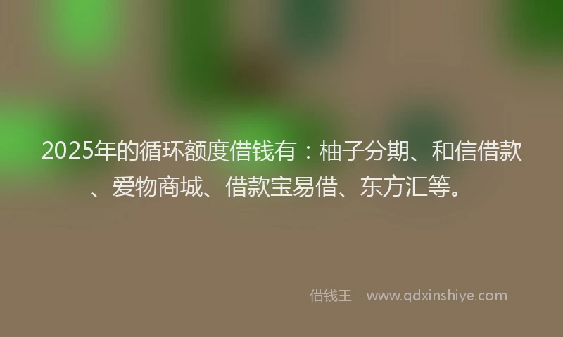 2025年的循环额度借钱有：柚子分期、和信借款、爱物商城、借款宝易借、东方汇等。