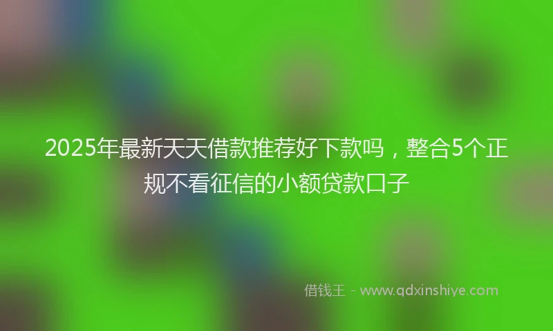 2025年最新天天借款推荐好下款吗，整合5个正规不看征信的小额贷款口子