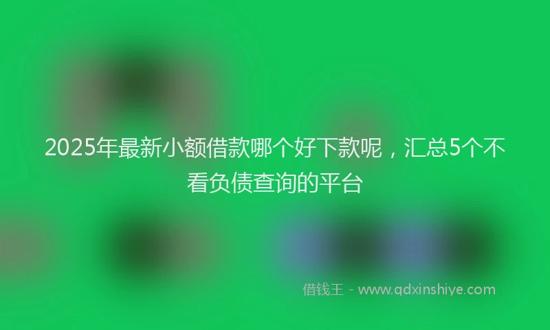 2025年最新小额借款哪个好下款呢，汇总5个不看负债查询的平台
