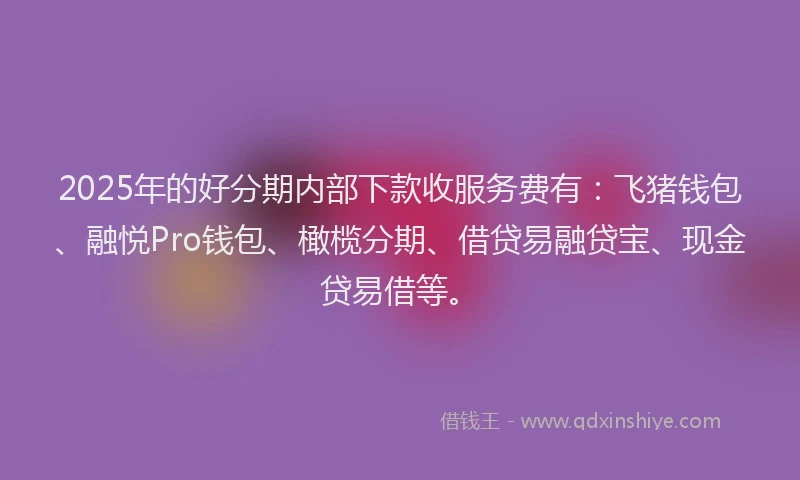 2025年的好分期内部下款收服务费有：飞猪钱包、融悦Pro钱包、橄榄分期、借贷易融贷宝、现金贷易借等。