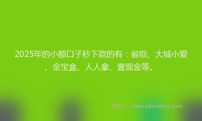 2025年的小额口子秒下款的有：省呗、大城小爱、金宝盒、人人拿、壹现金等。
