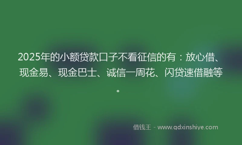 2025年的小额贷款口子不看征信的有：放心借、现金易、现金巴士、诚信一周花、闪贷速借融等。