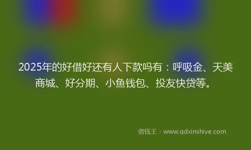2025年的好借好还有人下款吗有：呼吸金、天美商城、好分期、小鱼钱包、投友快贷等。