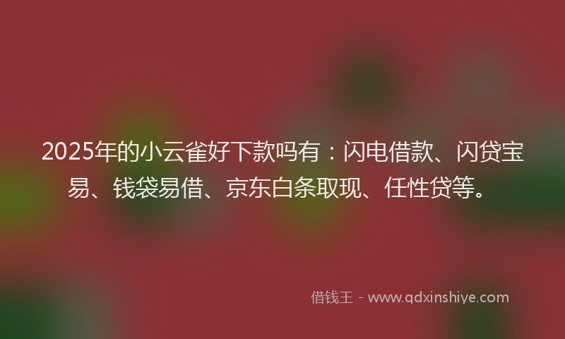 2025年的小云雀好下款吗有：闪电借款、闪贷宝易、钱袋易借、京东白条取现、任性贷等。