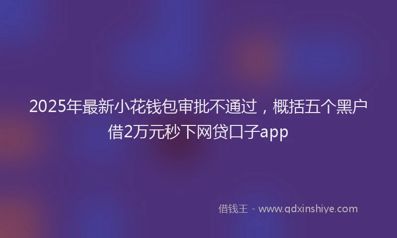 2025年最新小花钱包审批不通过，概括五个黑户借2万元秒下网贷口子app