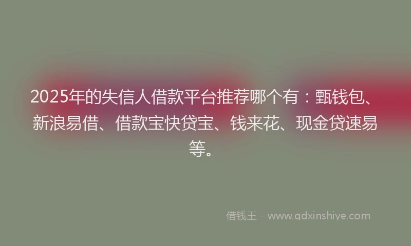 2025年的失信人借款平台推荐哪个有：甄钱包、新浪易借、借款宝快贷宝、钱来花、现金贷速易等。