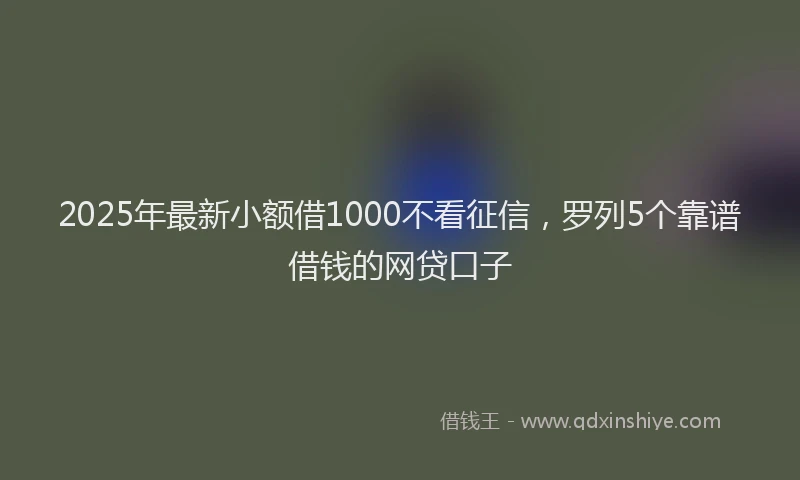 2025年最新小额借1000不看征信，罗列5个靠谱借钱的网贷口子