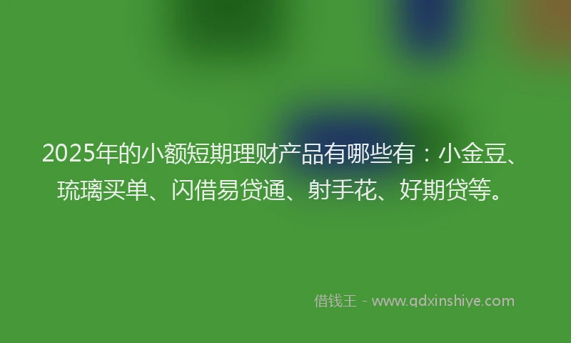 2025年的小额短期理财产品有哪些有：小金豆、琉璃买单、闪借易贷通、射手花、好期贷等。