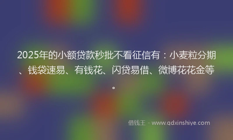 2025年的小额贷款秒批不看征信有：小麦粒分期、钱袋速易、有钱花、闪贷易借、微博花花金等。