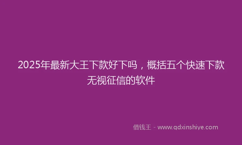 2025年最新大王下款好下吗，概括五个快速下款无视征信的软件