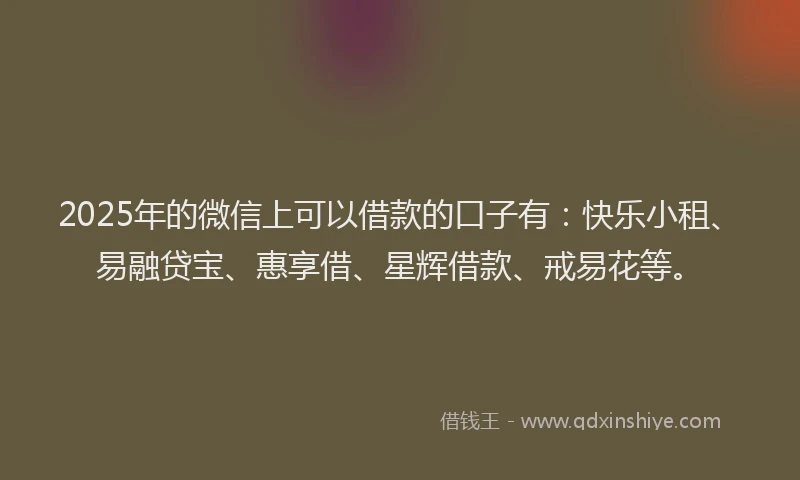 2025年的微信上可以借款的口子有：快乐小租、易融贷宝、惠享借、星辉借款、戒易花等。