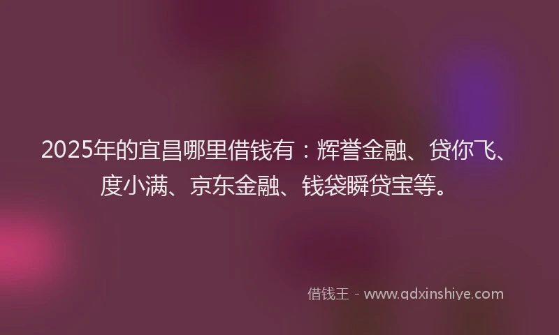 2025年的宜昌哪里借钱有：辉誉金融、贷你飞、度小满、京东金融、钱袋瞬贷宝等。