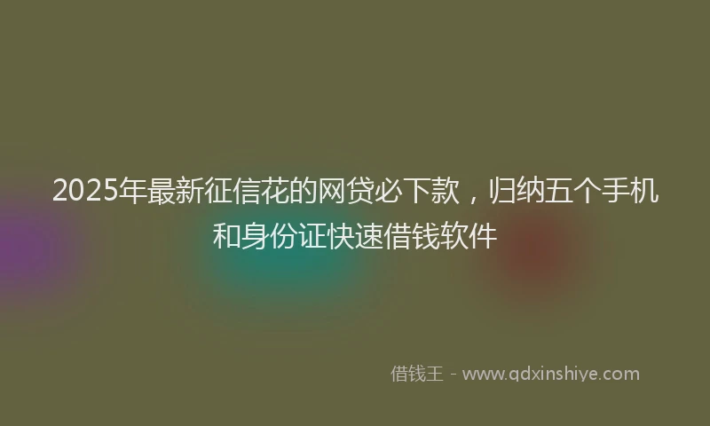 2025年最新征信花的网贷必下款，归纳五个手机和身份证快速借钱软件