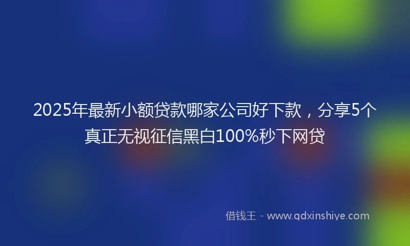 2025年最新小额贷款哪家公司好下款，分享5个真正无视征信黑白100%秒下网贷