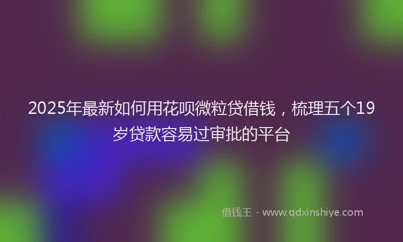 2025年最新如何用花呗微粒贷借钱，梳理五个19岁贷款容易过审批的平台