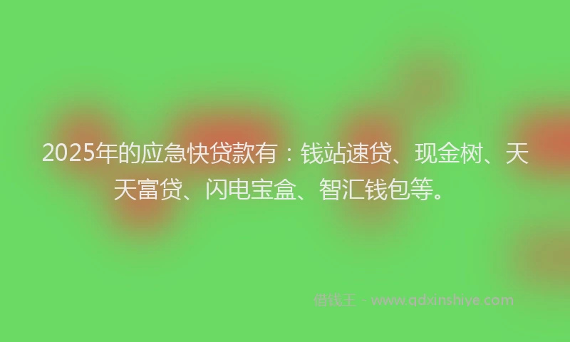 2025年的应急快贷款有：钱站速贷、现金树、天天富贷、闪电宝盒、智汇钱包等。