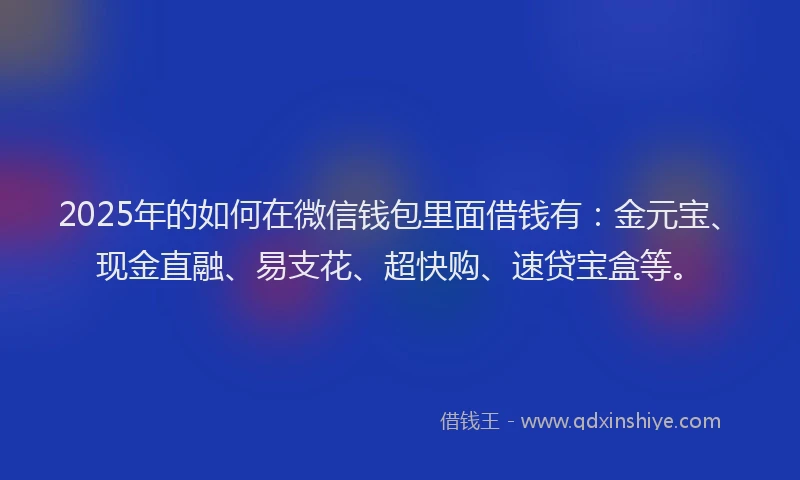 2025年的如何在微信钱包里面借钱有：金元宝、现金直融、易支花、超快购、速贷宝盒等。