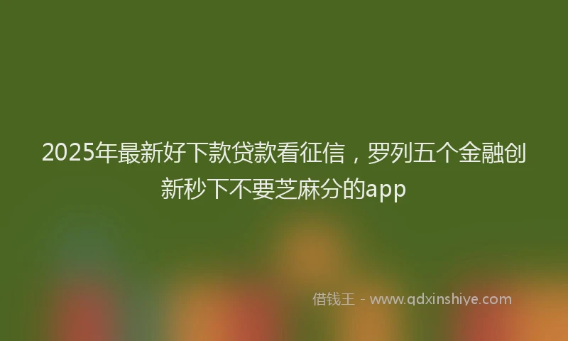2025年最新好下款贷款看征信，罗列五个金融创新秒下不要芝麻分的app