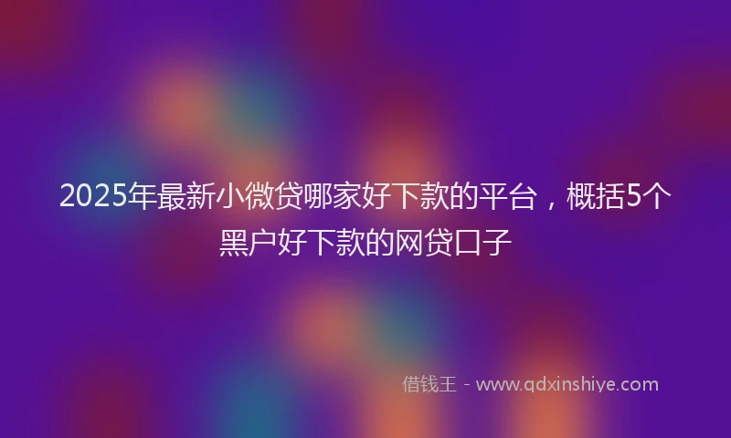 2025年最新小微贷哪家好下款的平台，概括5个黑户好下款的网贷口子