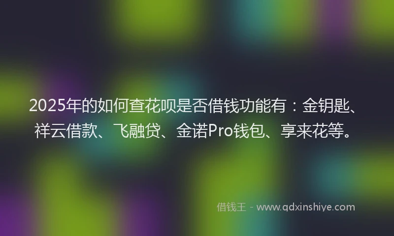 2025年的如何查花呗是否借钱功能有：金钥匙、祥云借款、飞融贷、金诺Pro钱包、享来花等。