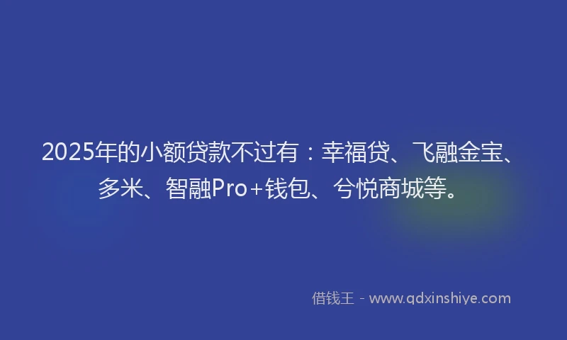 2025年的小额贷款不过有：幸福贷、飞融金宝、多米、智融Pro+钱包、兮悦商城等。