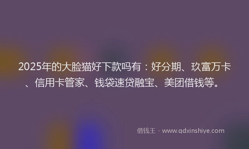 2025年的大脸猫好下款吗有：好分期、玖富万卡、信用卡管家、钱袋速贷融宝、美团借钱等。