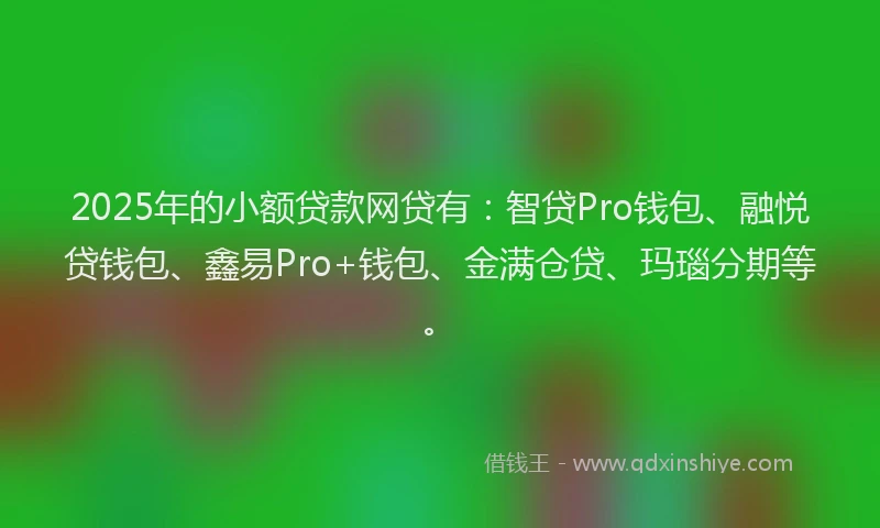 2025年的小额贷款网贷有：智贷Pro钱包、融悦贷钱包、鑫易Pro+钱包、金满仓贷、玛瑙分期等。