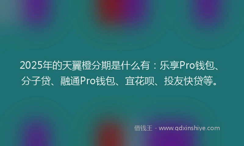 2025年的天翼橙分期是什么有：乐享Pro钱包、分子贷、融通Pro钱包、宜花呗、投友快贷等。