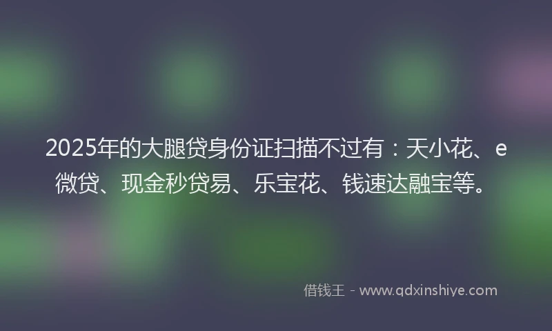 2025年的大腿贷身份证扫描不过有：天小花、e微贷、现金秒贷易、乐宝花、钱速达融宝等。